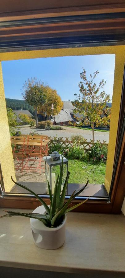Ferienwohnung Seelust Schluchsee Ngoại thất bức ảnh